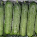 Picture of Persian Cucumbers