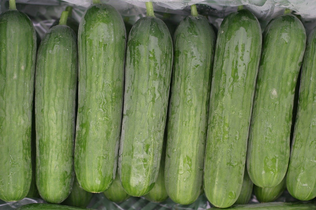Picture of Persian Cucumbers
