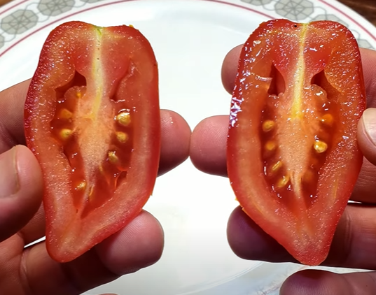 Picture showing Roma tomato seeds