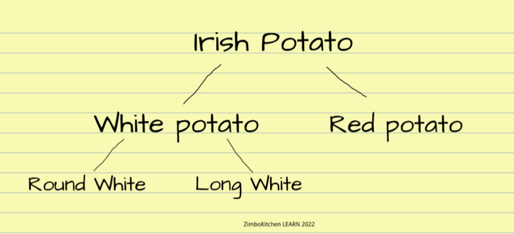 Diagram showing that Round White and Long White potatoes are White Irish potatoes