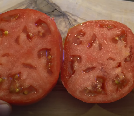 Celebrity Tomato Interior