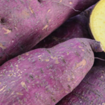 Murasaki Sweet Potato