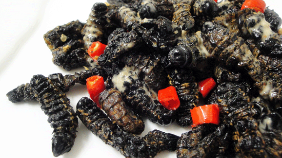 Madora, amacimbi (mopane worms)