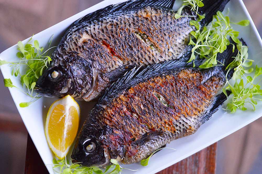 Flavourful Garlic & Parsley Kariba Bream - ZimboKitchen